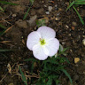 Meet your Posher, Eunjoo